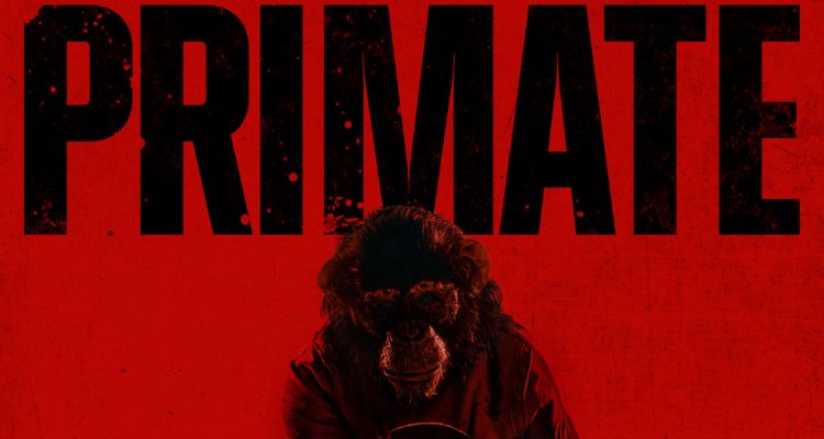 PRIMATE (2026) Review: This Chimp Isn’t Just Rabid—He’s a Slasher Villain&nbsp;🐵🩸